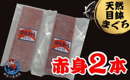 神奈川県漁連 三崎まぐろ 赤身サク 150g×2P　M077-010