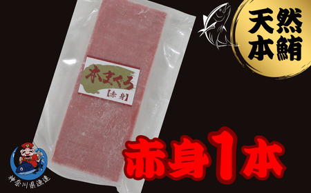 神奈川県漁連 天然本マグロ 赤身サク　M077-012-01