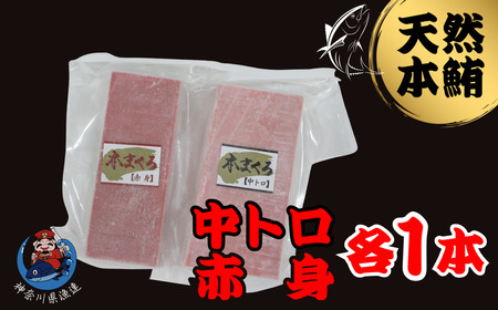 神奈川県漁連 天然本マグロ 中トロ・赤身セット　M077-012-03