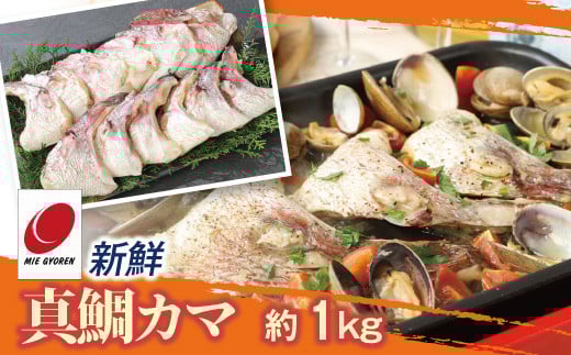 新鮮真鯛カマ （約1kg）　M079-011-01