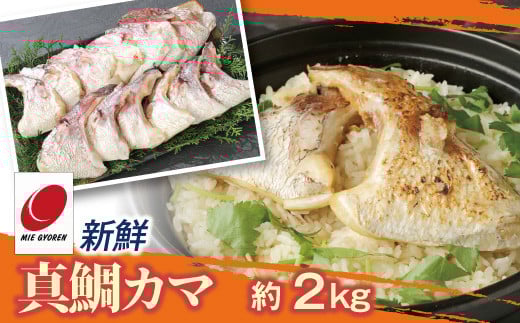 新鮮真鯛カマ （約2kg）　M079-011-02