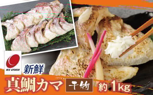 新鮮真鯛カマ干物 （約1kg）　M079-011-03