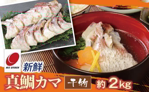 新鮮真鯛カマ干物 （約2kg）　M079-011-04