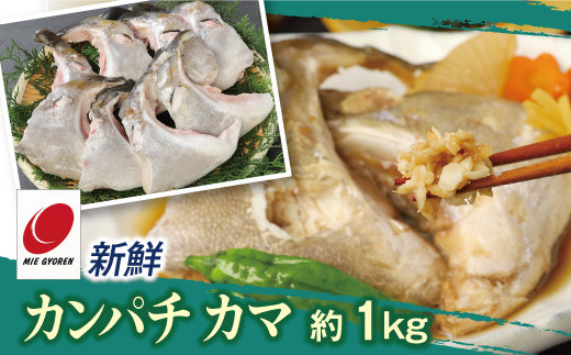 新鮮カンパチ カマ 約1kg　M079-012-01