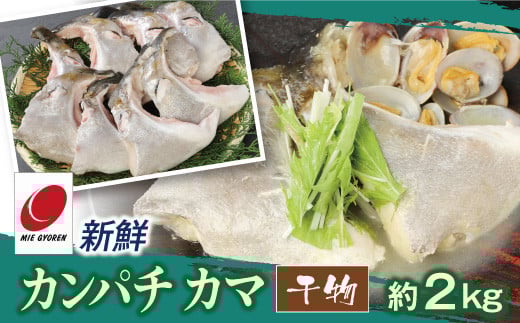 新鮮カンパチ カマ干物 約2kg　M079-012-04