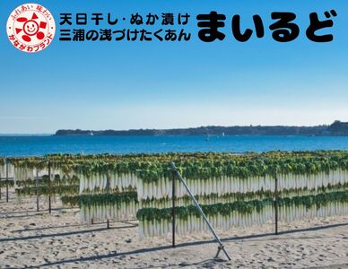 【期間限定・数量限定】三浦のたくあん「まいるど」（小樽10リットル容器入り）　M080-003-01