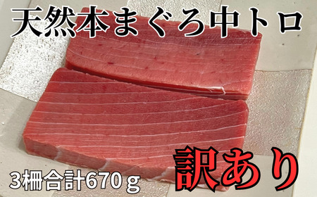 天然本鮪 中トロサク（訳アリ）3柵　M081-004-04