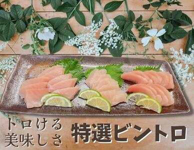 特選ビンチョウマグロ【トロビンチョウ】　M081-005