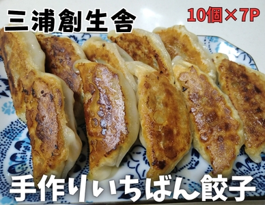 三浦創生舎のいちばん餃子（ハートフルさと納税）　M101-001