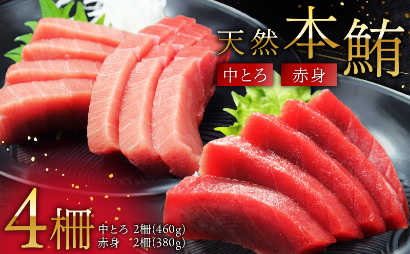 天然本鮪中とろ2柵・赤身2柵　M007-008-01