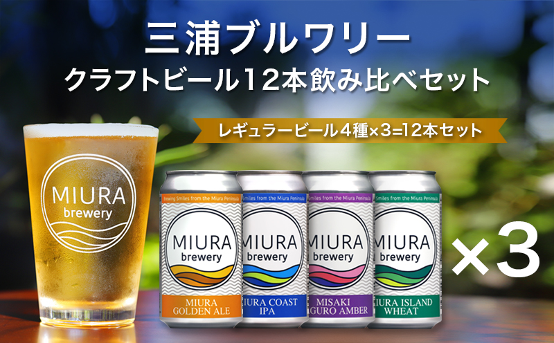 【三浦ブルワリー】クラフトビール 12本飲み比べセット　M110-001-03