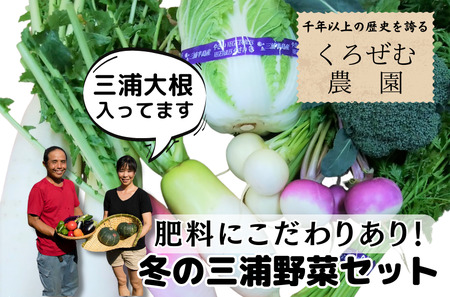 ボリューム満点！季節の野菜詰め合わせ（冬）　M001-004-02