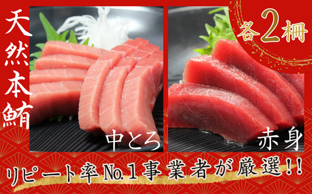 天然本鮪中とろ2柵・赤身2柵　M007-008-01