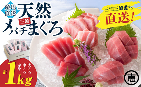 【至福のひと時】天然目鉢まぐろ 1kg（大トロ200g、中トロ400g、赤身400g）　M020-026-01