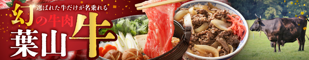 牛肉（葉山牛） 特集