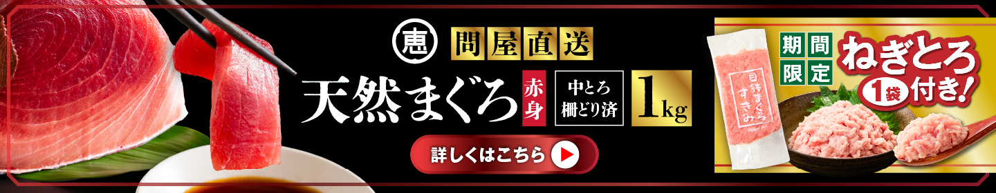 【期間限定 ねぎとろ付き】とにかくまぐろの質に自信あり！問屋直送！天然三崎まぐろ 1kg 中トロ赤身 M020-011