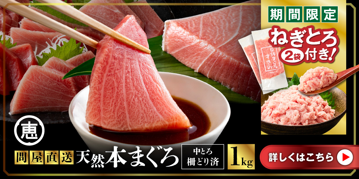 【期間限定 ねぎとろ付き】 まぐろ専門 の 老舗問屋 からお届け とろける 上質 天然本まぐろ 中トロ 1kg M020-012