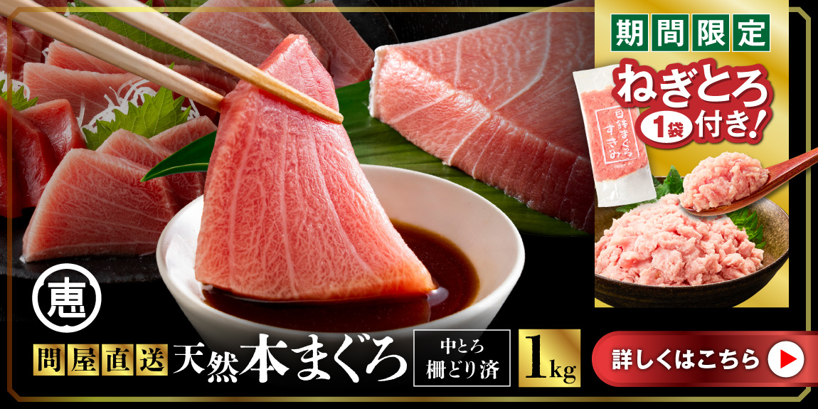 【期間限定 ねぎとろ付き】 まぐろ専門 の 老舗問屋 からお届け とろける 上質 天然本まぐろ 中トロ 1kg M020-012