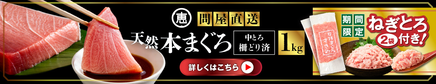 【期間限定 ねぎとろ付き】 まぐろ専門 の 老舗問屋 からお届け とろける 上質 天然本まぐろ 中トロ 1kg M020-012