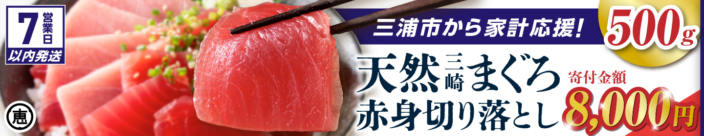 【7営業日以内に発送】天然三崎まぐろ 赤身 切落し 500g（500g×1袋） M020-014-04