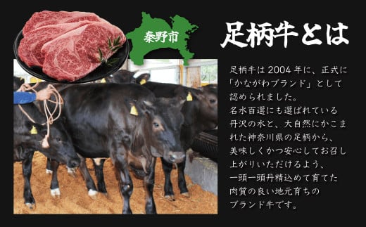 秦野市産足柄牛ロースステーキ 2枚(700g)