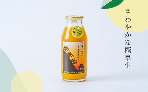 秦野産みかんストレートジュース（3本）