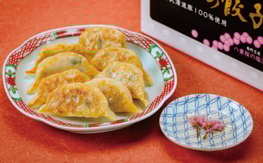 秦野産門倉ポーク使用★ジューシー！菖蒲庵謹製はだの餃子