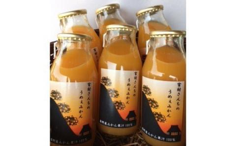 秦野産みかんストレートジュース（6本）