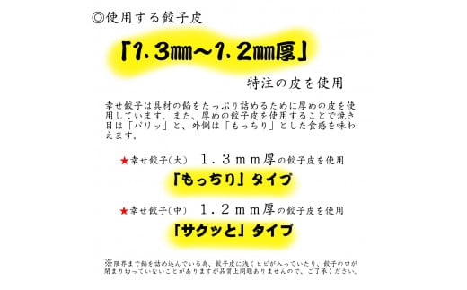 幸せ餃子のボリューム満点こだわり中餃子60個入り