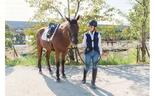 【平日限定】乗馬レッスン10回コース（3日）＋テキストプレゼント