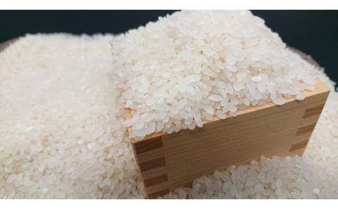 【令和7年新米】秦野の米（はるみ）５㎏