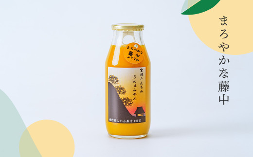 秦野産みかんストレートジュース（3本）