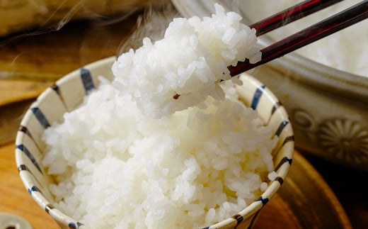 【令和7年新米】秦野の米（さとじまん）５kg