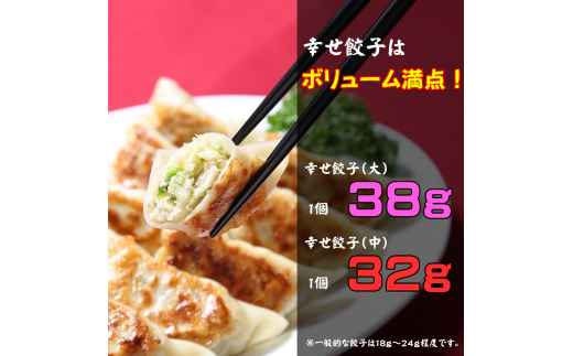 幸せ餃子のボリューム満点こだわり大・中餃子（各1箱）