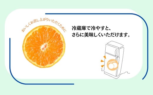 【先行予約！７月以降順次発送】甘いハウスみかん（1.5～5㎏) 1.5kg