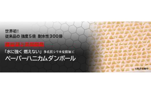 アウトリーチ防災用帽子（2個セット）