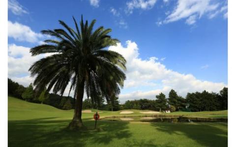 太平洋クラブ相模コースのゴルフプレー補助券(4,000円分）