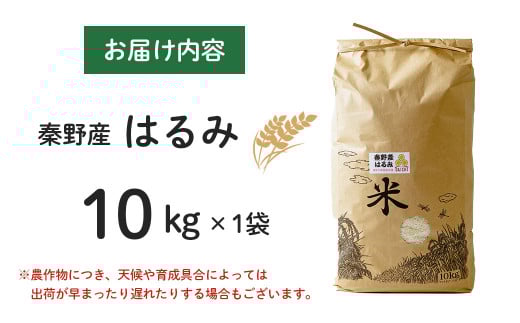 【令和7年新米】秦野の米（はるみ）１０ｋｇ