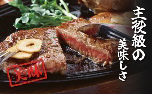 秦野市産足柄牛ロースステーキ 2枚(700g)