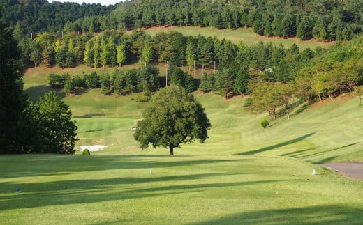 【東京カントリー倶楽部】ゴルフコース利用券9,000円分