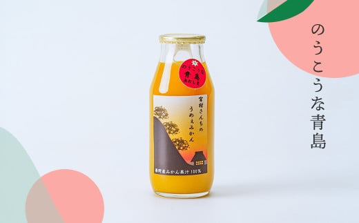 秦野産みかんストレートジュース（3本）