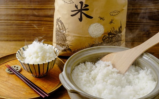 【令和7年新米】秦野の米（はるみ）５㎏