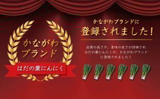 葉にんにくバーグ　1袋9個入×4セット