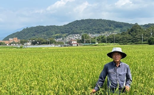 秦野の米（さとじまん）１０ｋｇ