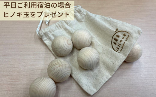 表丹沢野外活動センターいろり棟宿泊利用券30,000円分