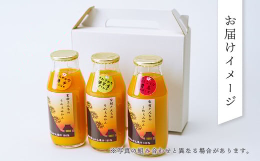 お届けイメージ