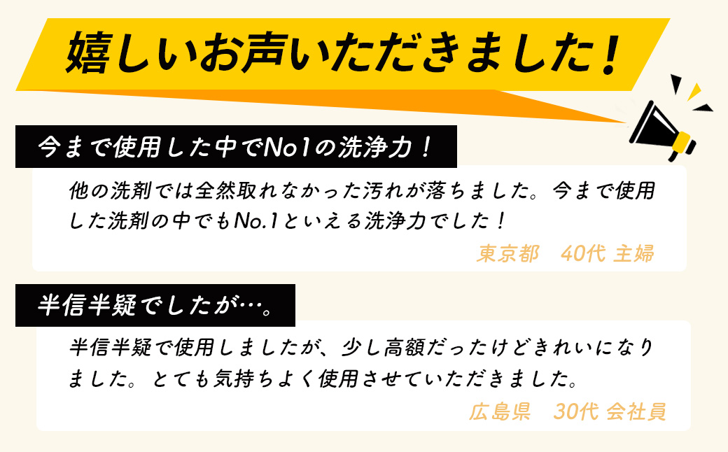 リンレイ ピカピカお掃除セット（ウルトラハード多用途入り）