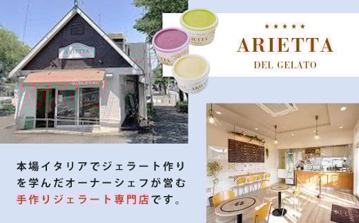 イタリア仕込みの味！「アリエッタ  デル  ジェラート」のジェラート詰合せ（12個入）