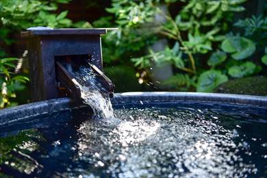 元湯陣屋 将棋の名勝負の舞台 貴賓室「松風」に泊まる特別将棋プラン（一泊三食・二名様）