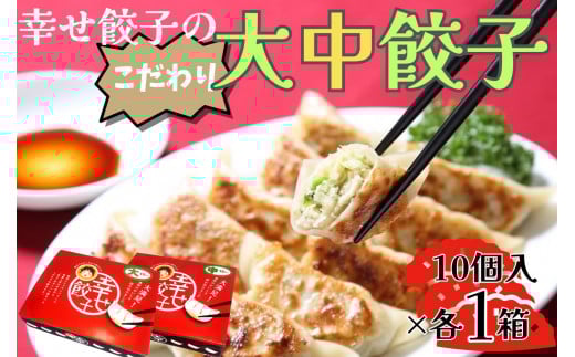 幸せ餃子のボリューム満点こだわり大・中餃子（各1箱）